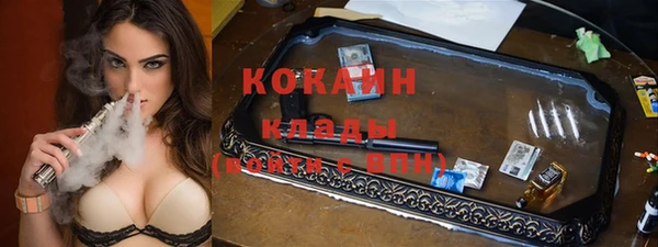 гашик Алексеевка