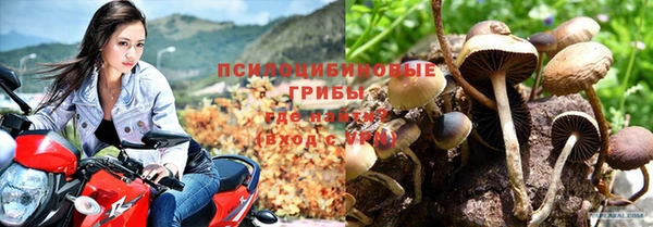 не бодяженный Алзамай