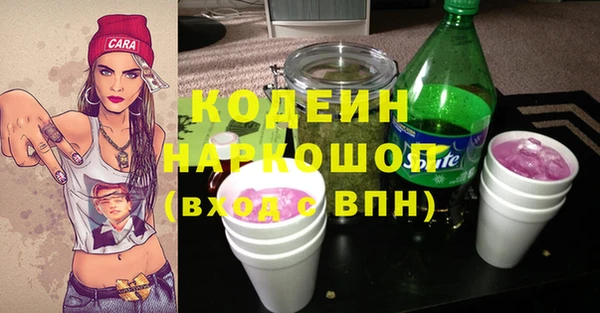 гашик Алексеевка