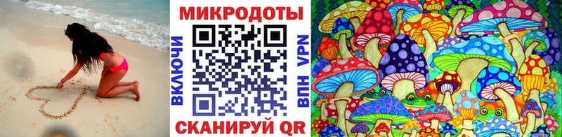 shop официальный сайт  Ахтырский  Псилоцибиновые грибы Psilocybe 